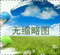 W系列閥門